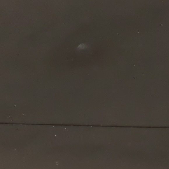 Club monaco wool blend high waist Bermuda shorts size 0 - Picture 5 of 6